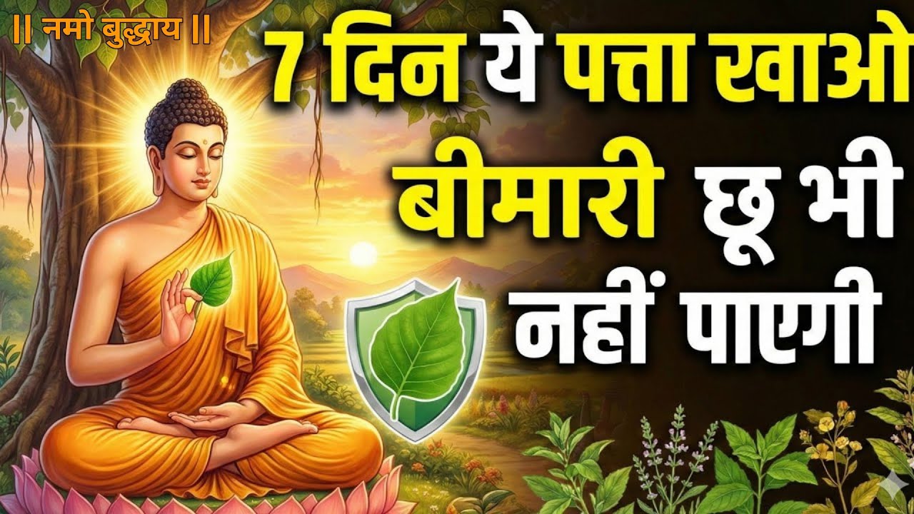 अगर 7 दिन ये पत्ता खा लिया तो जिंदगी भर बीमारी छू भी नहीं पाएगी | आयुर्वेदिक गुरु की कथा