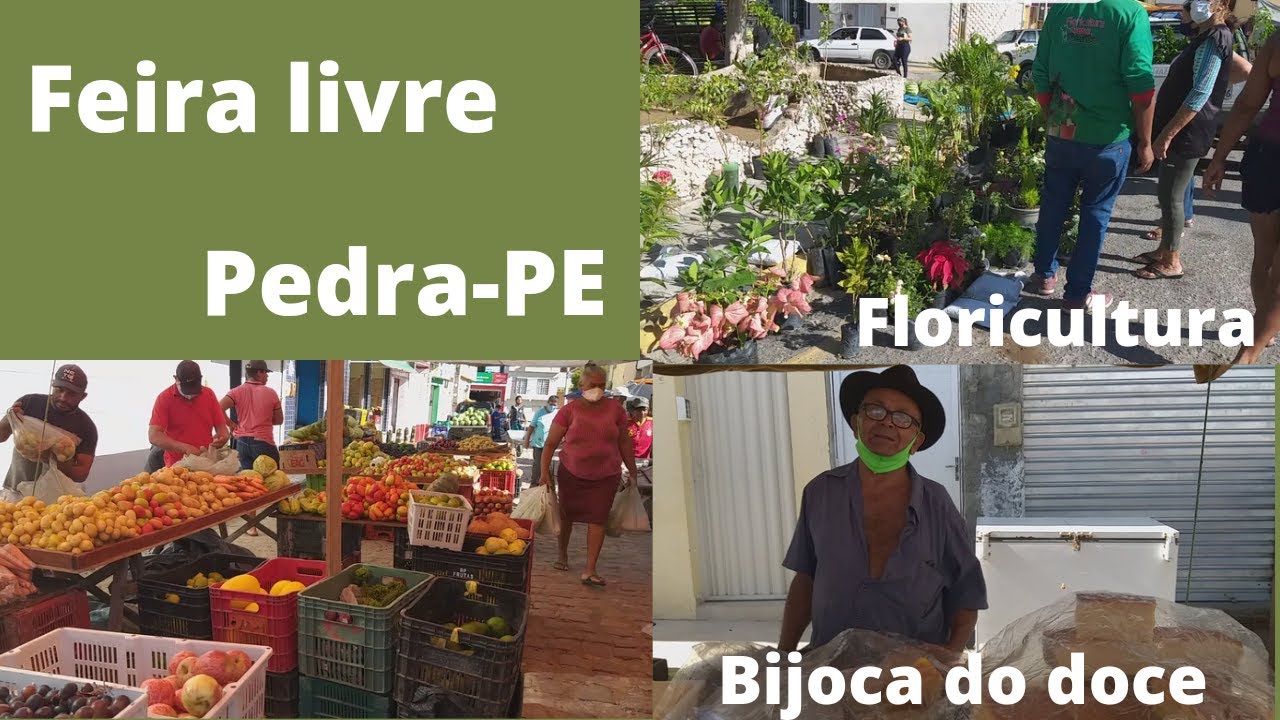 feira livre da cidade de Pedra-PE/parte 1