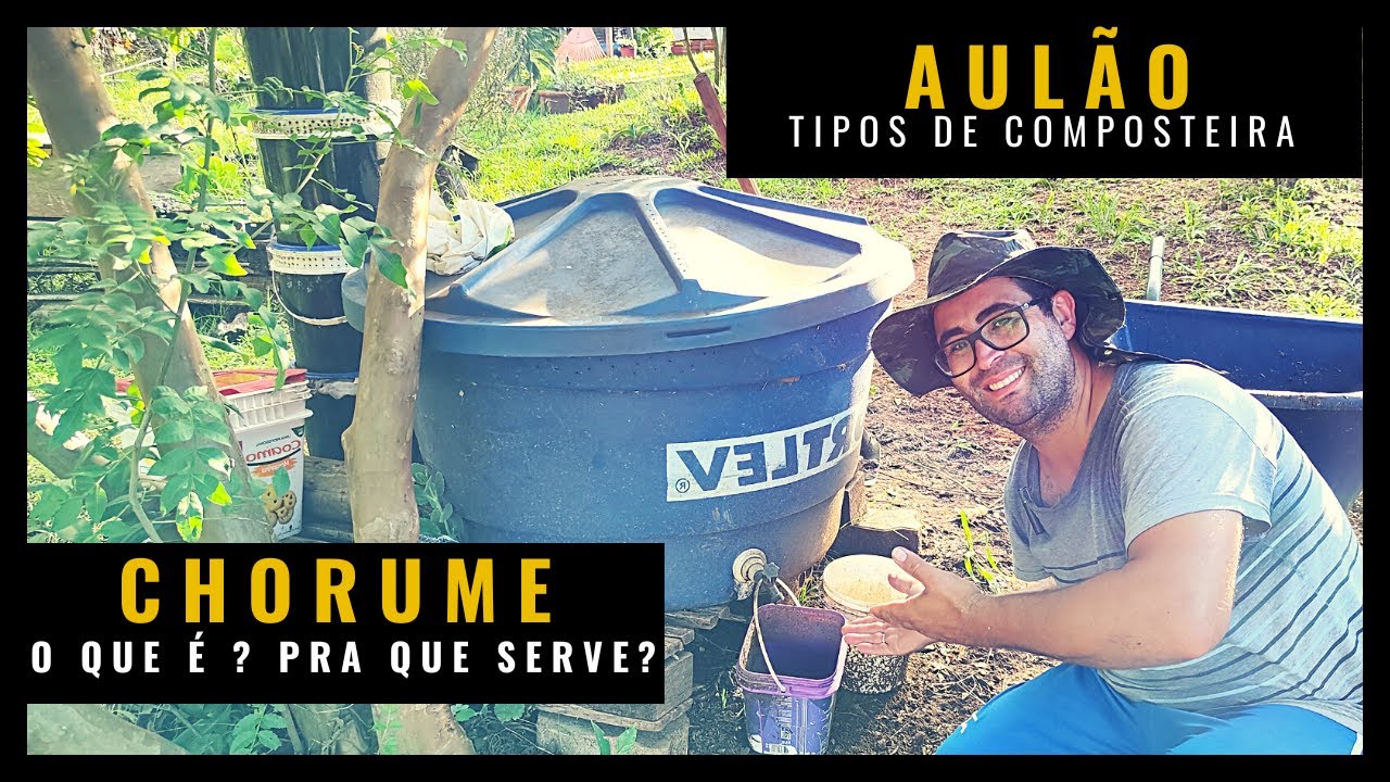 🔴O QUE É CHORUME / TIPOS DE COMPOSTEIRA / AULÃO