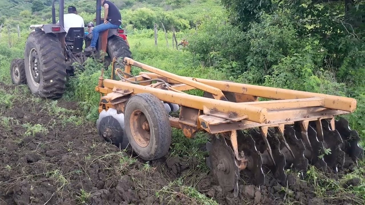 Continua o corte de terra na caatinga brasileira