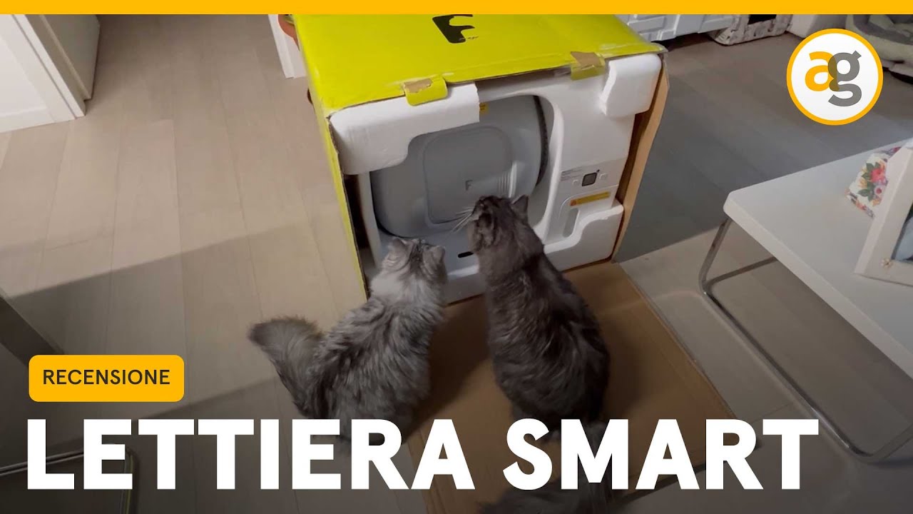 LETTIERA per GATTI SMART. Recensione e CONFRONTO