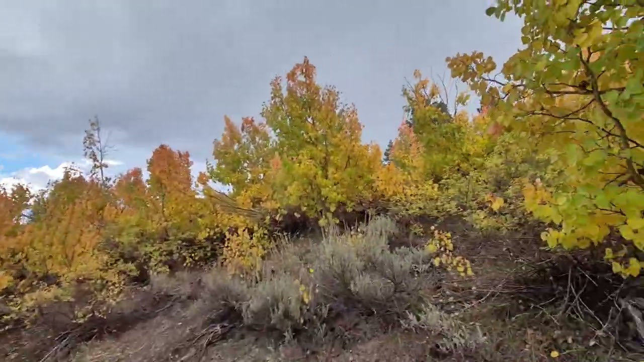 Hiking above Mono Lake, CA