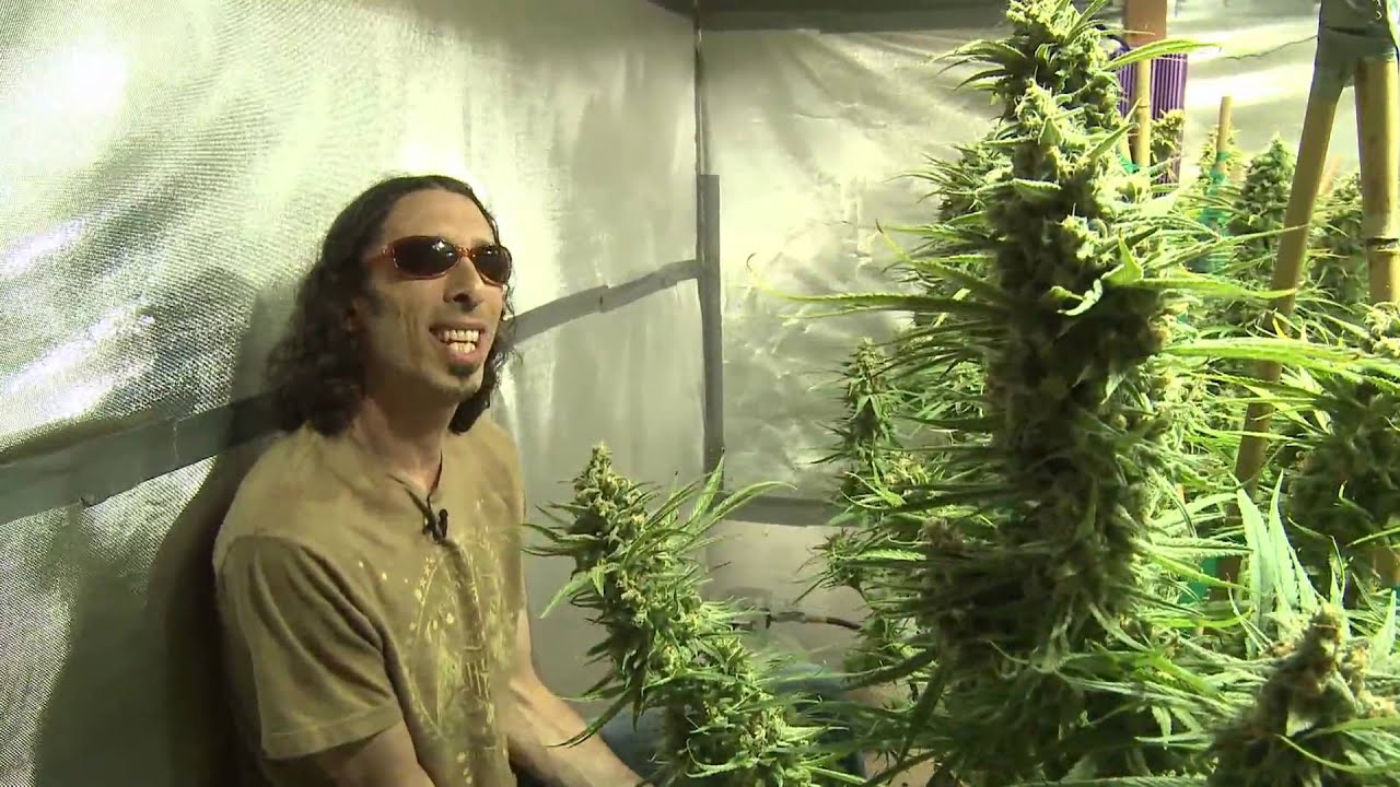 Kyle Kushman & Shiloh Massive Veganic Cannabis Cultivation Trailer