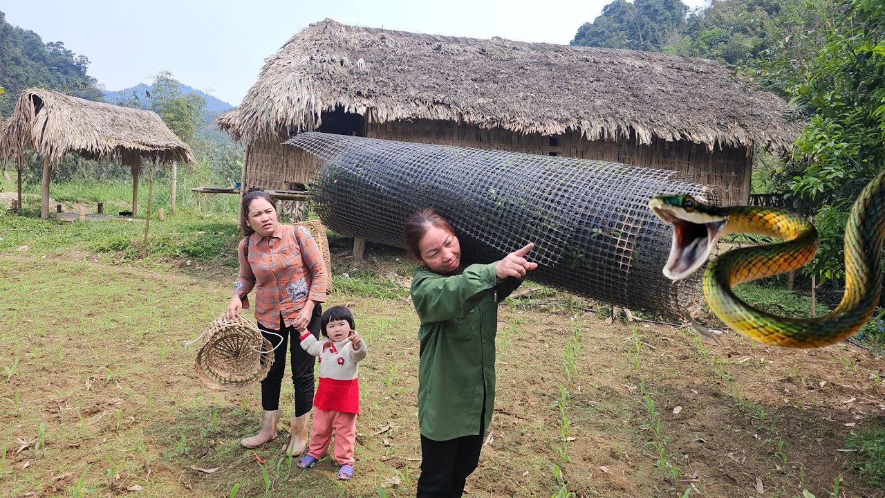 Video: 180 days of lythichanh's life change since receiving help from a kind old lady