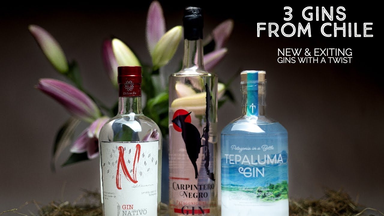 Gin Nativo - Carpintero Negro - Tepaluma - 3 Gins from Chile
