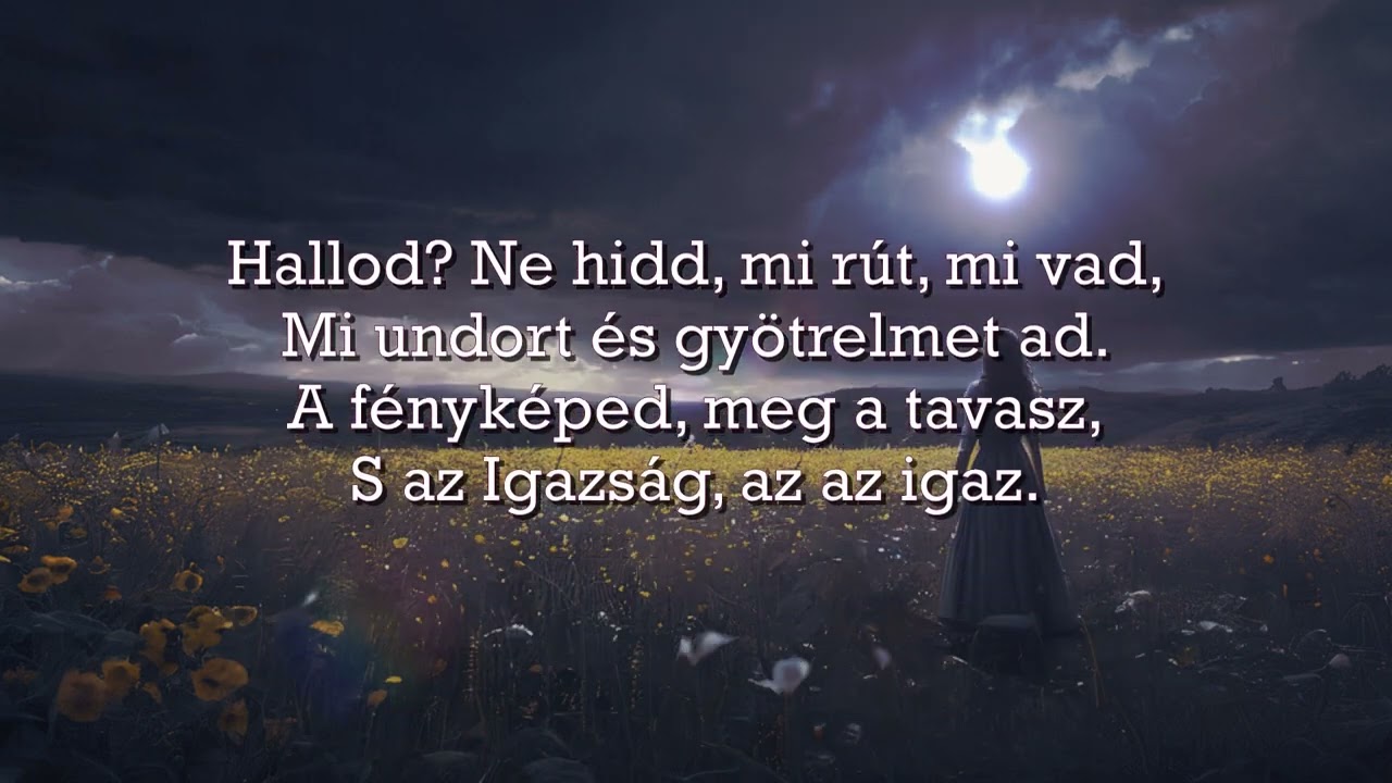Szép Ernő - Ne higgy! : CoverByGaben