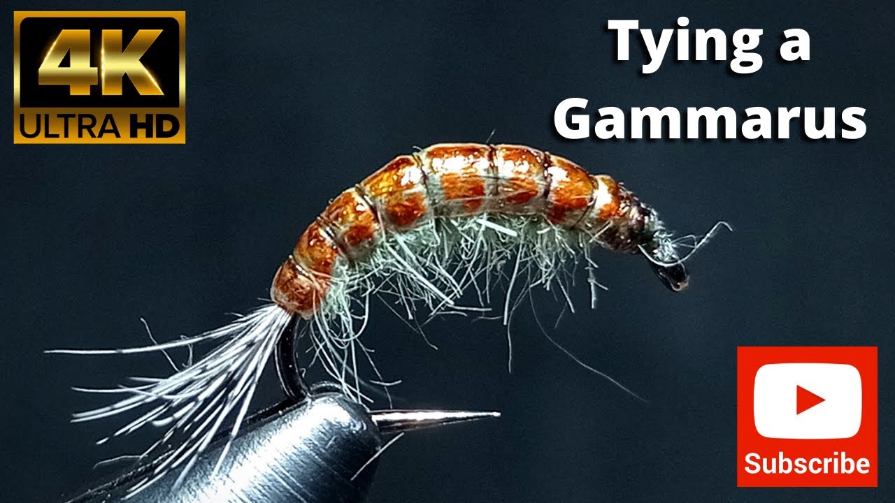 Tying a classic Scud Gammarus by George 4K