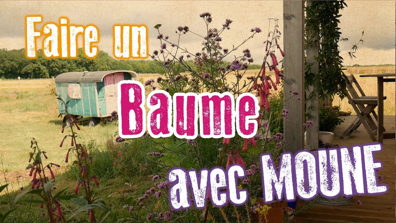 Baume de souci-calendula pour les problèmes de peau : la recette de Moune - Secrets de sorcière