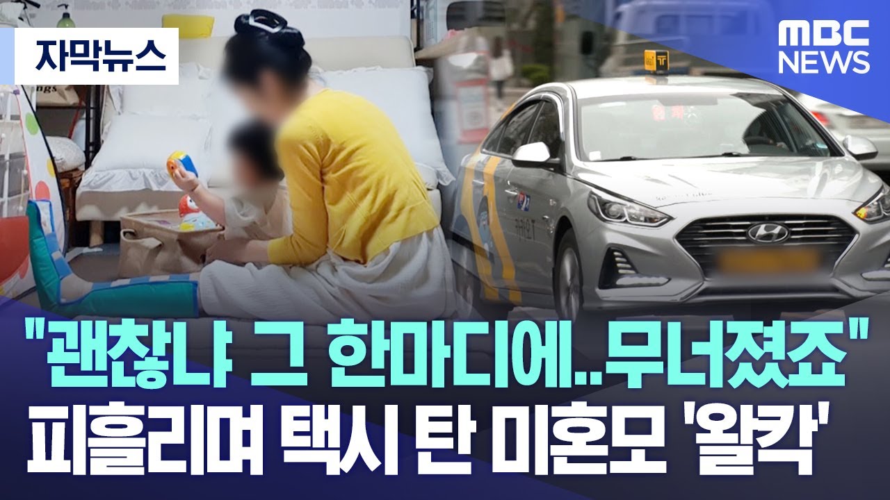 [자막뉴스] 