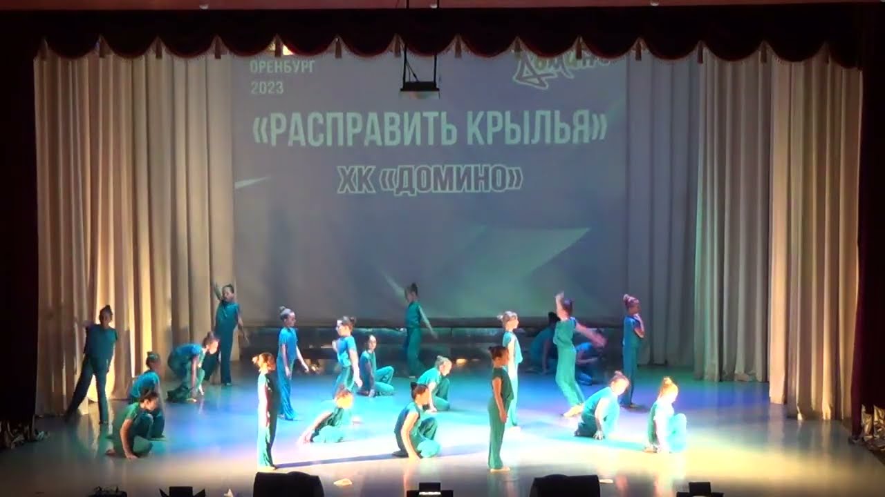 Расправить крылья ХК Домино 2023