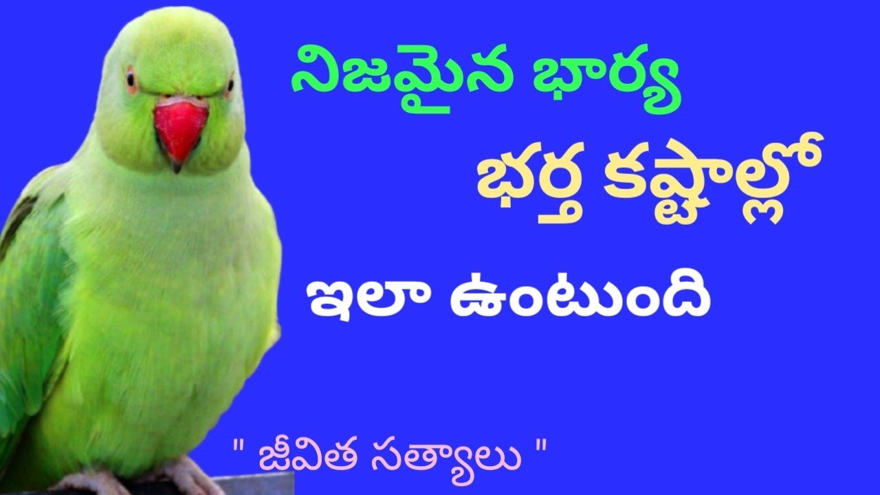 నిజమైన భార్య భర్త కష్టాల్లో  ఉంటే ఇలా ప్రవర్తిస్తుంది II wife and Husband Motivational quotes