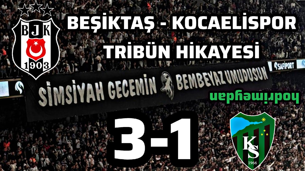 Sahada Tribünde Kazanan Beşiktaş! Beşiktaş & Kocaelispor Tribün Hikayesi