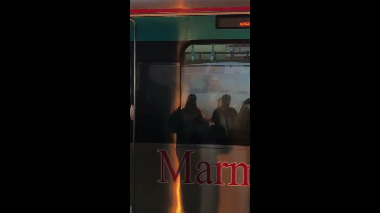 [Copyright Free Videos] - Metro City Humans - Ocean Interaction