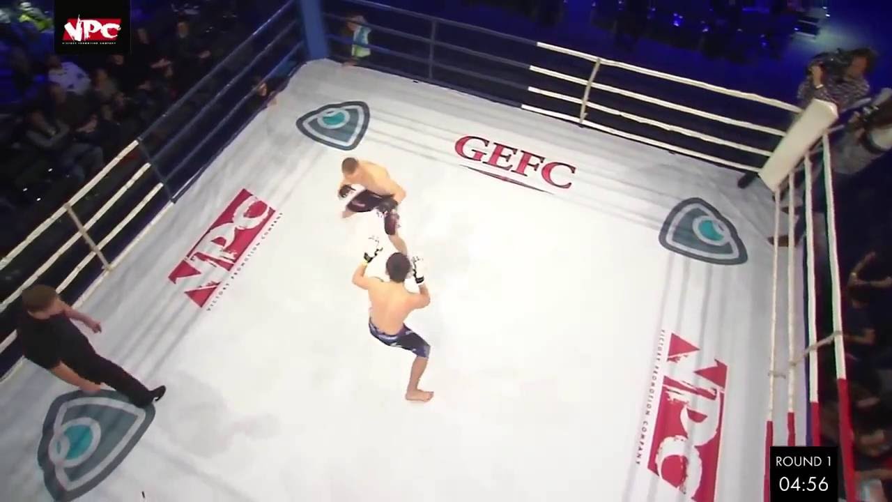 GEFC-VPC 1. Anton Chernega & Ion Pop. November 19, 2016  Kiev  Ukraine