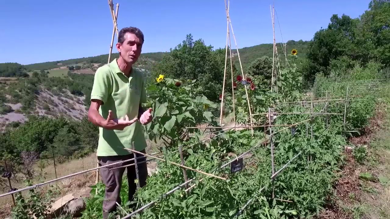 Le jardin de l'abbaye de Valsaintes avec Jean-Yves Meignen
