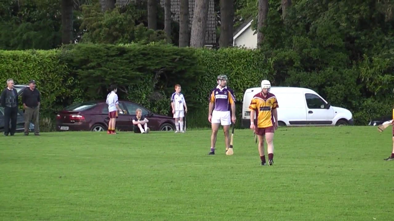 Kilmacud Crokes Senior Hurlers v Cr Chiarain, 14 June 2010