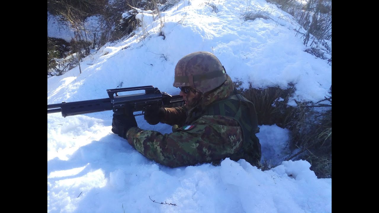 Alpini : un anno di vita di  un reggimento alpino negli anni 2000
