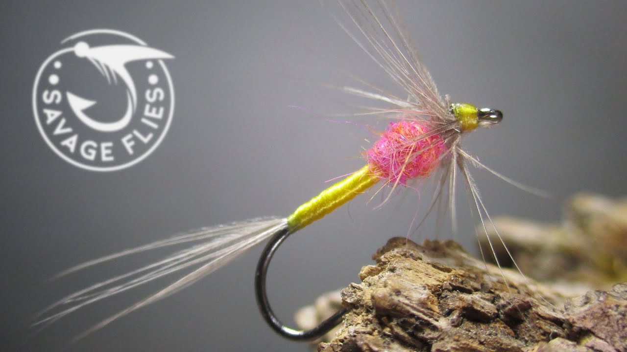 The history of the Tup's Indispensable (1890 dry fly pattern)