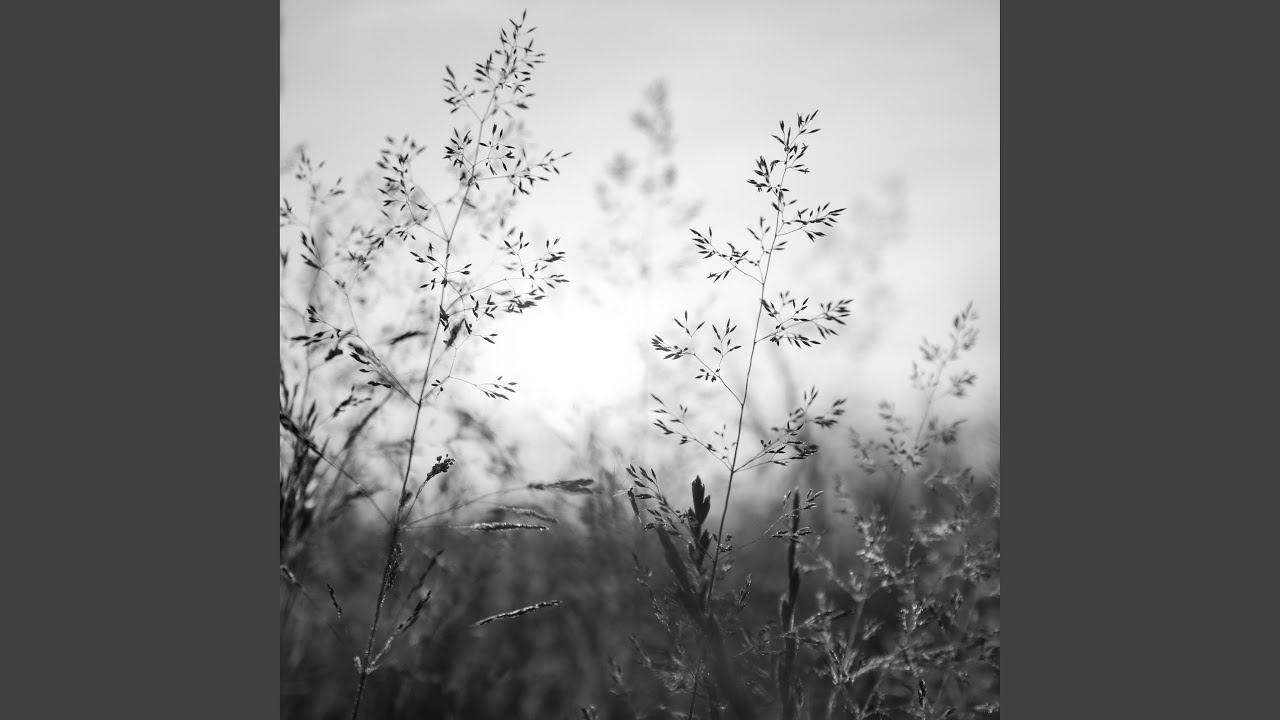 In Summer with Daybreak