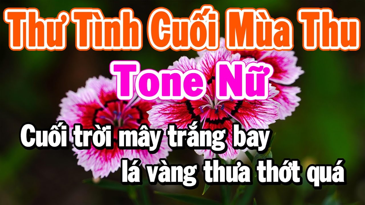 Karaoke Thư Tình Cuối Mùa Thu Tone Nữ Beat Dễ Hát || Làng Hoa Karaoke