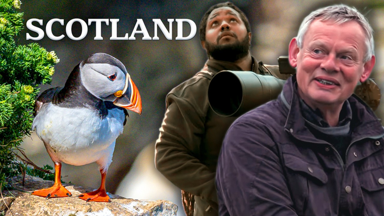 Into the Wild: Scotland&rsquo;s Untamed Secrets