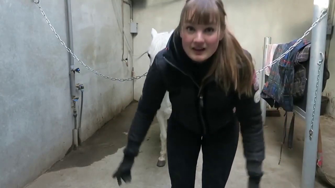 [Deutscher Untertitel] How to: Das Pferd im Fellwechsel unterstützen | Epplejeck Reitsport