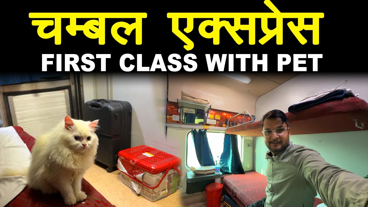 First Ac train journey with Pet 