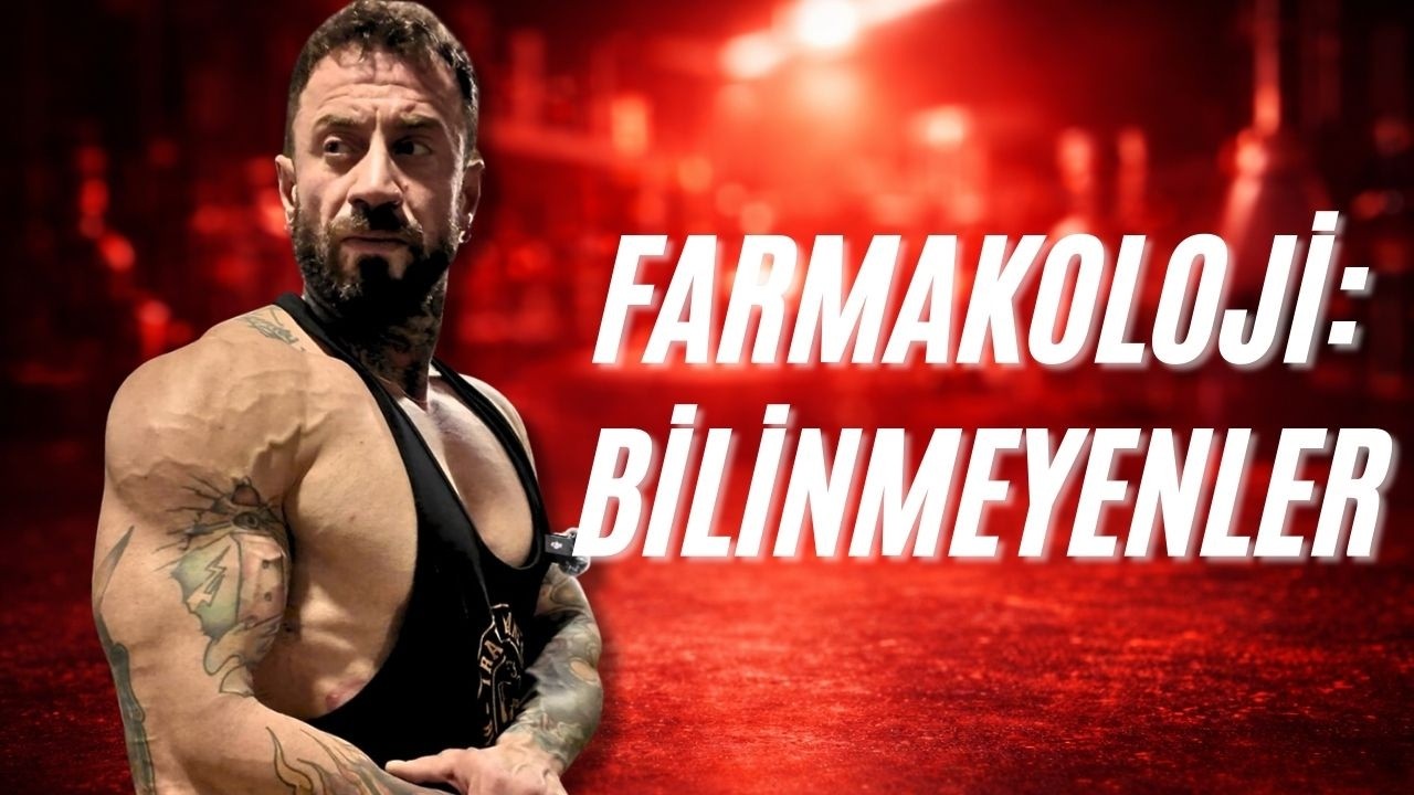 İLK STEROİD KÜRÜ NASIL OLMALI? | NELERDEN UZAK DURMAK GEREK?