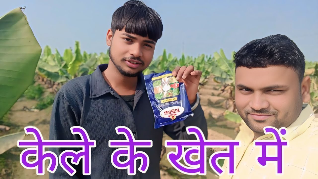 Kele ki khat ka vlog video || kele ka ped