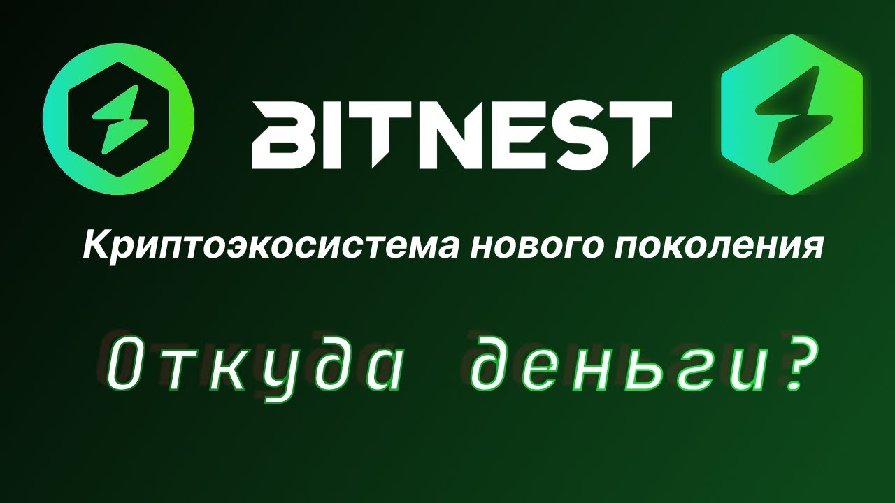 BitNest &ndash; инвестиции в 2025! Откуда здесь берутся деньги?