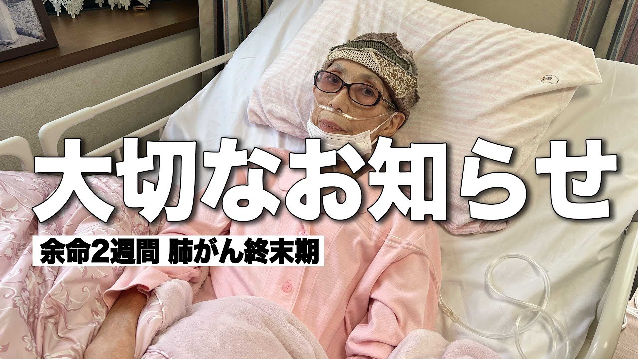 【今日明日のギャラリーについて】ペロちゃんの現状｜80歳オシャレで人生を楽しく！