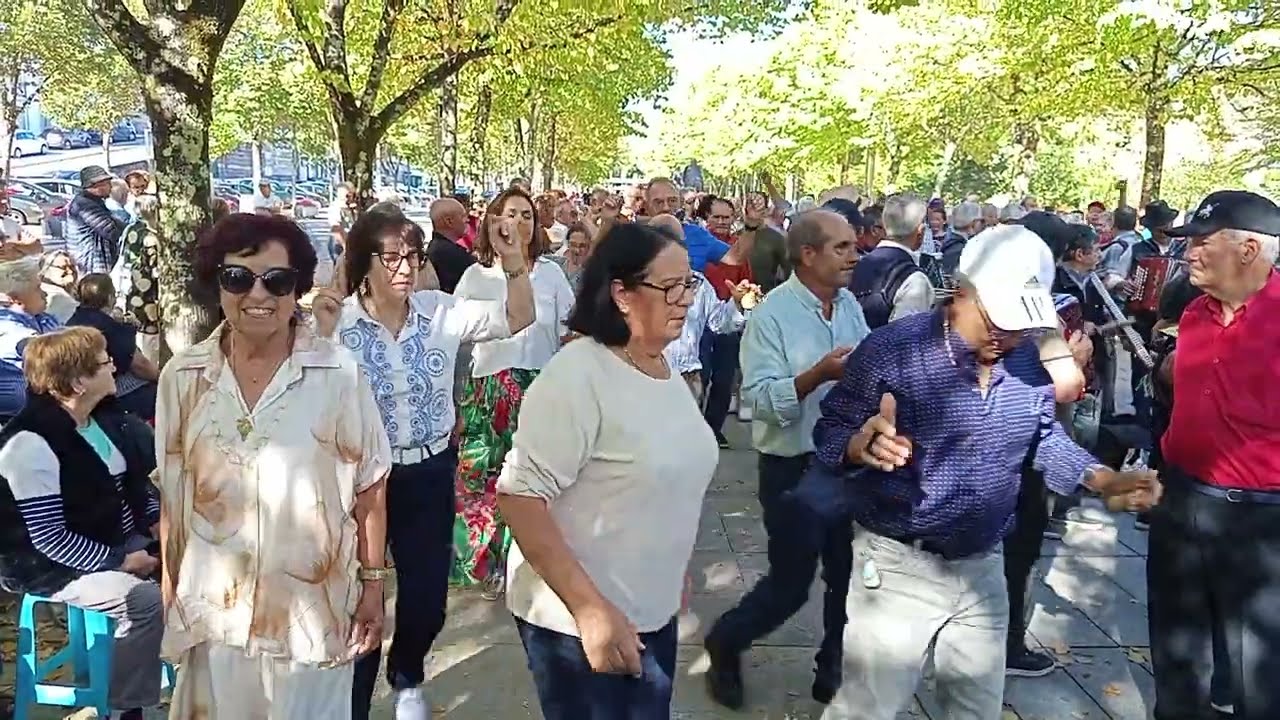 Bora lá 🤓 Roda 🛞 das Concertinas ✅🪗 Folclore ✅☘️ Arcos de Valdevez 🇵🇹✨💥