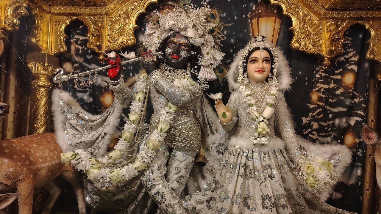 Sri Sri Radha Govinda in winter outfit