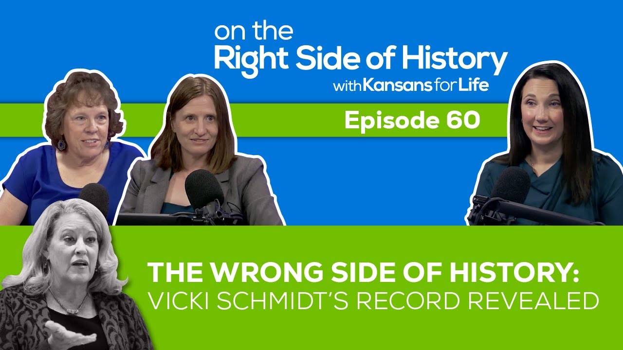 The Wrong Side of History: Vicki Schmidt&rsquo;s Record Revealed