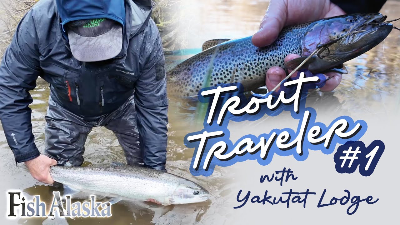 Trout Traveler Episode 1: Situk River Steelhead with Yakutat Lodge #steelheadfishing #fishalaska