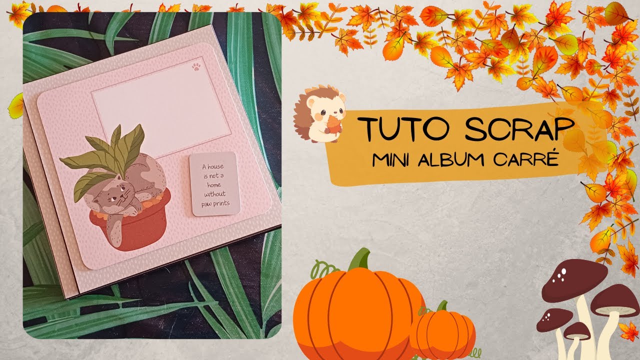Mini album carré 📸