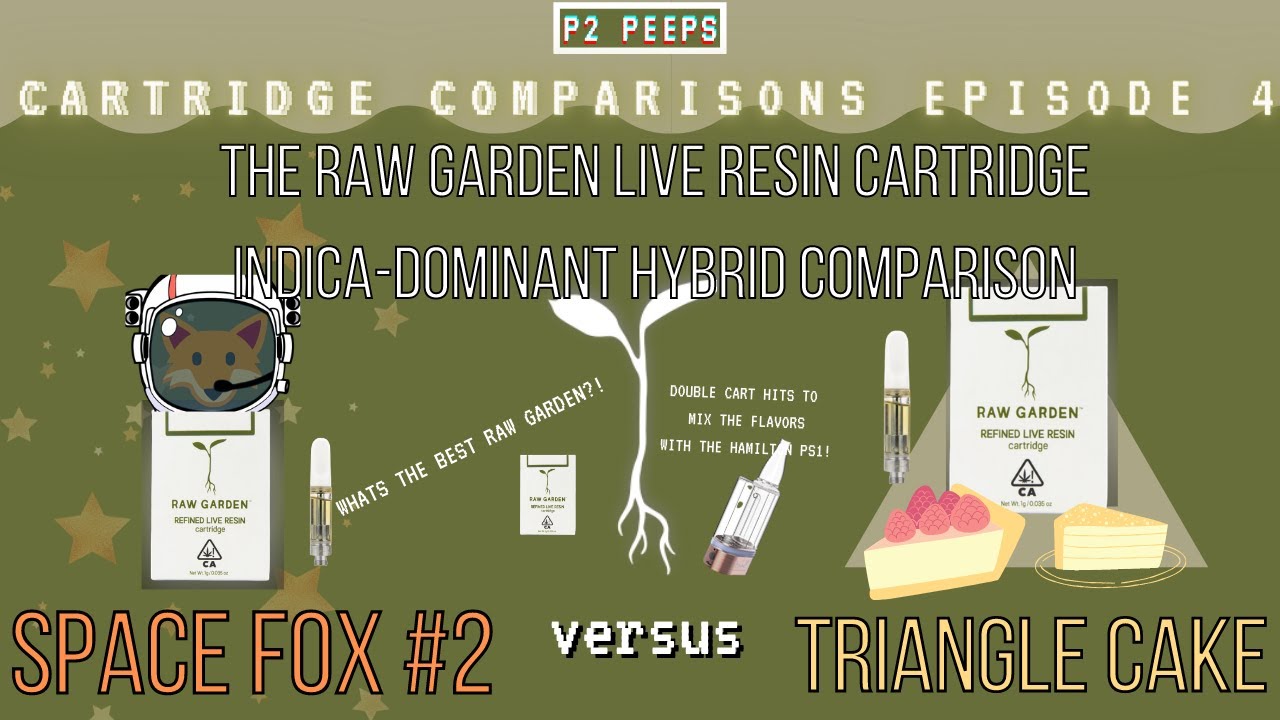 WHATS THE BEST RAW GARDEN, Space Fox #2 OR TRIANGLE CAKE?! | Cartridge Comparisons Episode 4