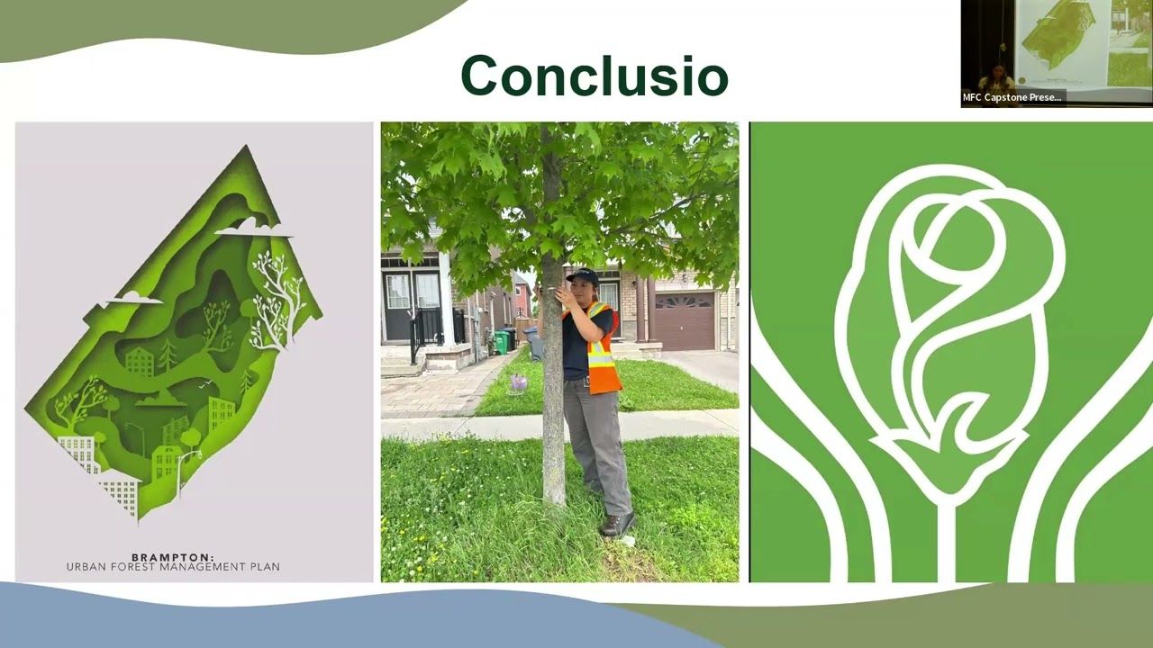 2025 MFC Capstone Presentation: Carmelina Buda