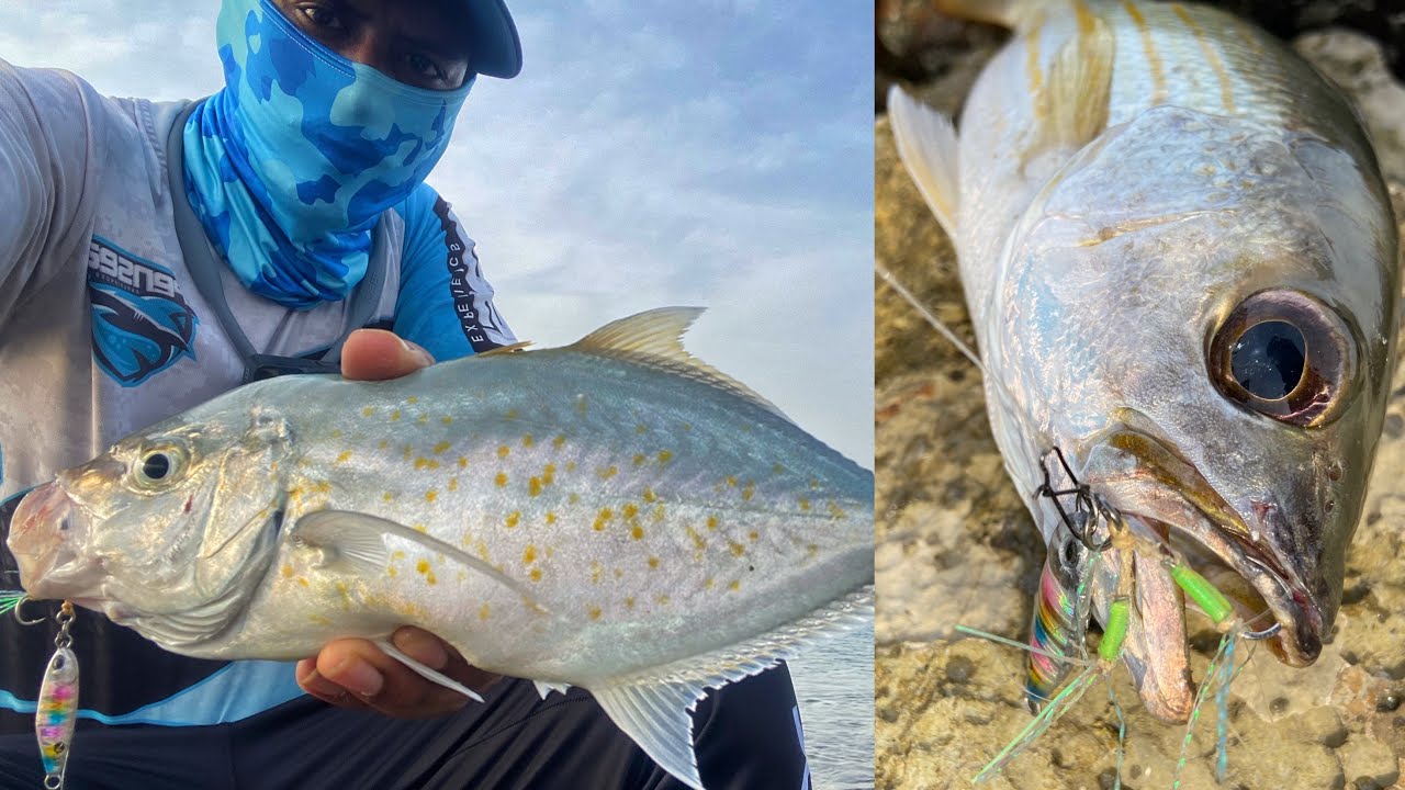Fishing in Dubai, UAE waters with light setup 