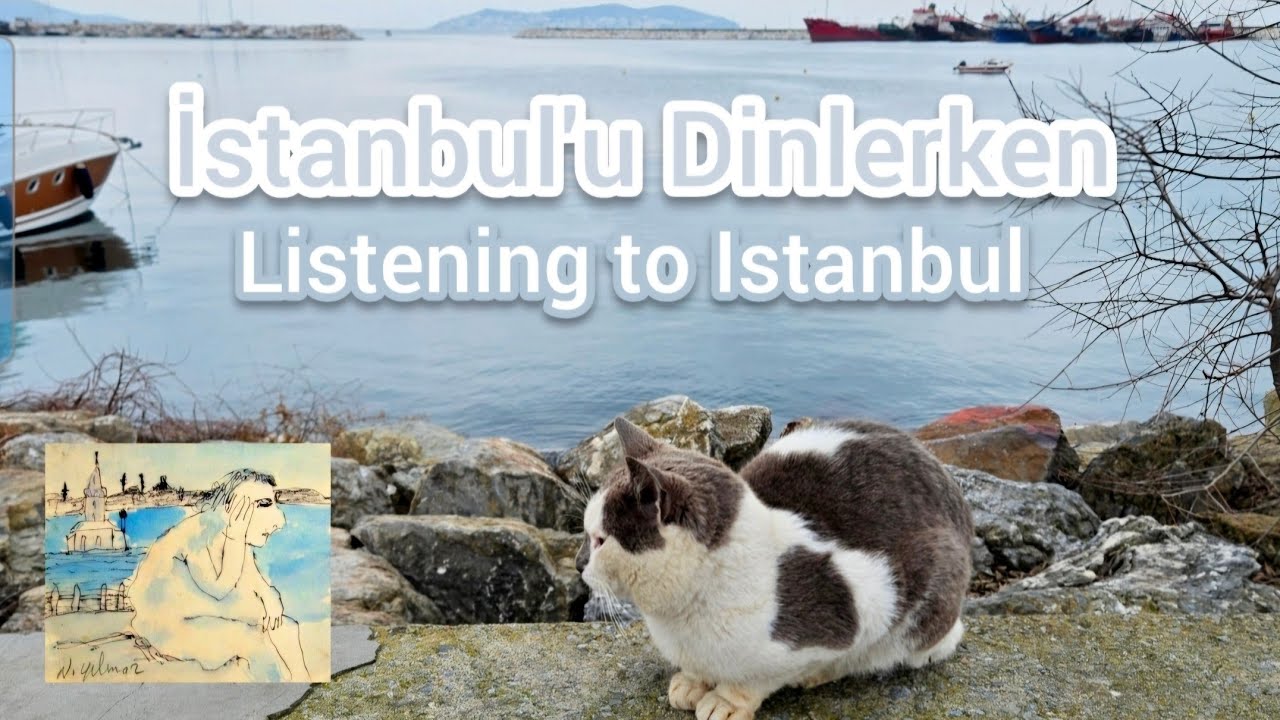 Listening to Istanbul: From a Street Cat to a Painting / İstanbul'da Bir Kediden Bir Resme #coastal