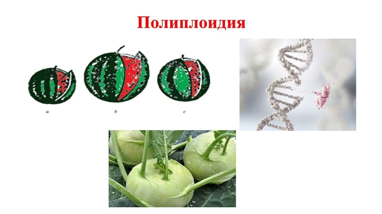 9_класс_3_токсан_Өнімділікті арттыратын заманауи ауылшаруашылық       технологиялары