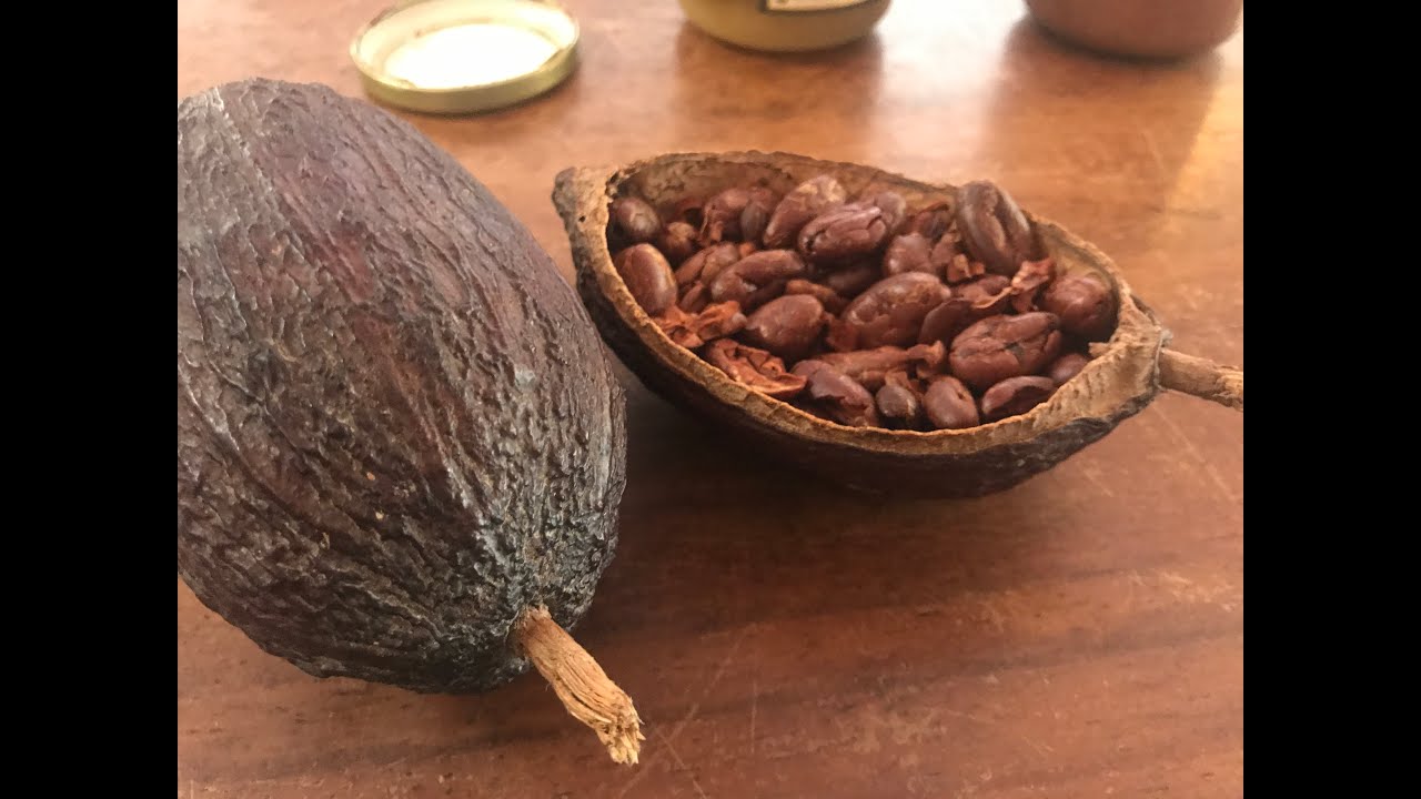 Preparacion de Cacao Ceremonial