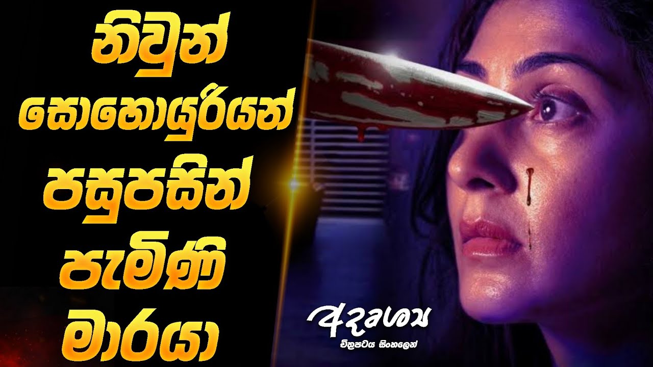 නිවුන් සොහොයුරියන් පසුපසින් පැමිණි මාරයා | Movie Sinhala Explanation | Baiscope tv 2026