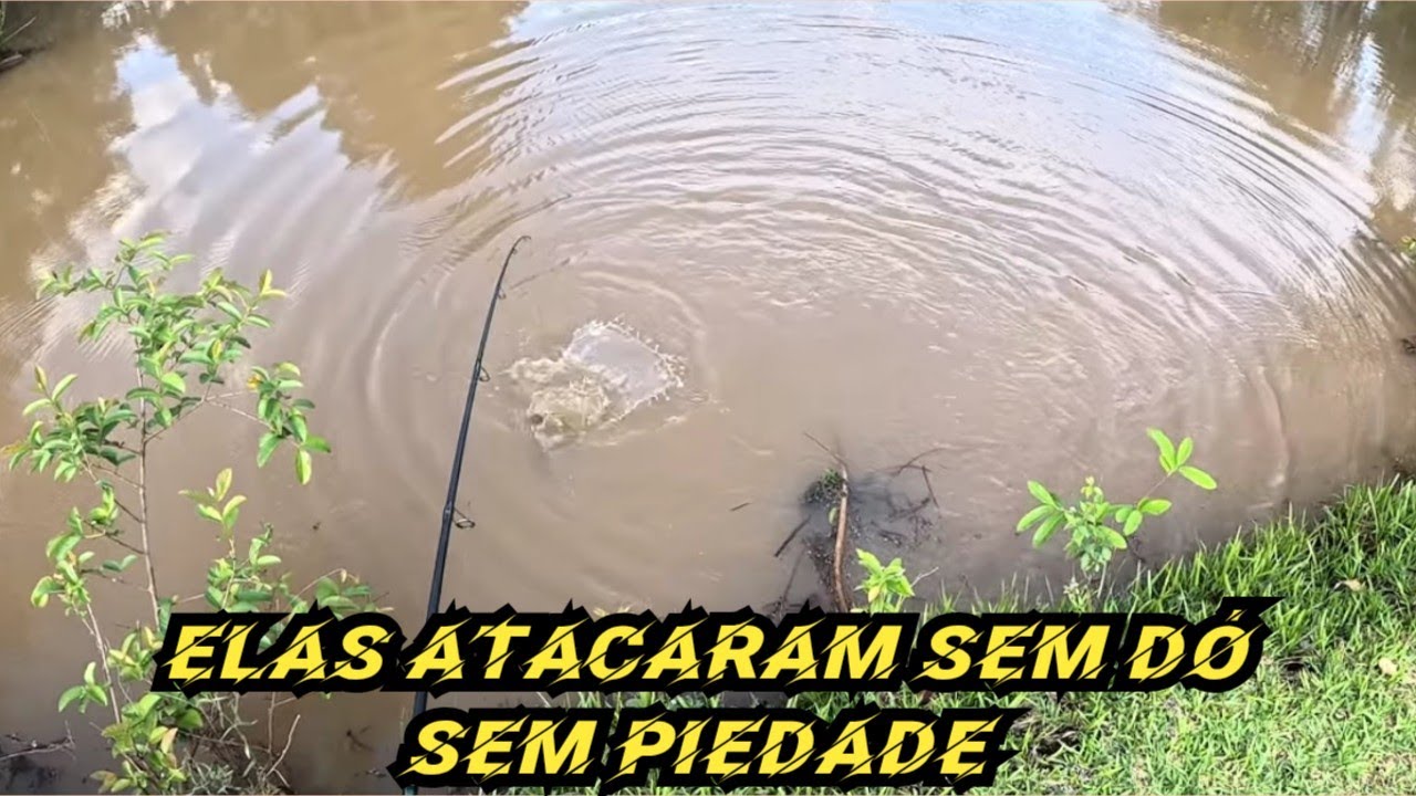 PESCARIA DE TRAÍRA COM LAMBARI!!!