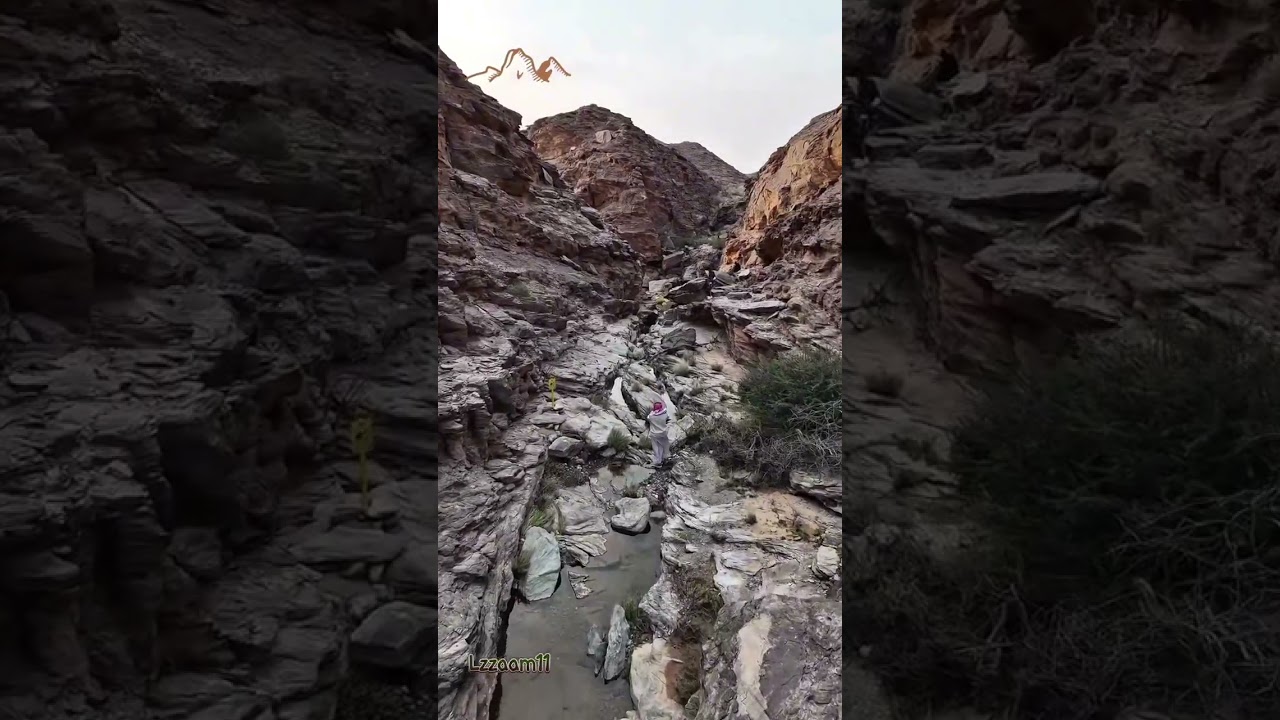 تغطية جبل ثهلان في بلدة الشعراء بعدسة لزاام