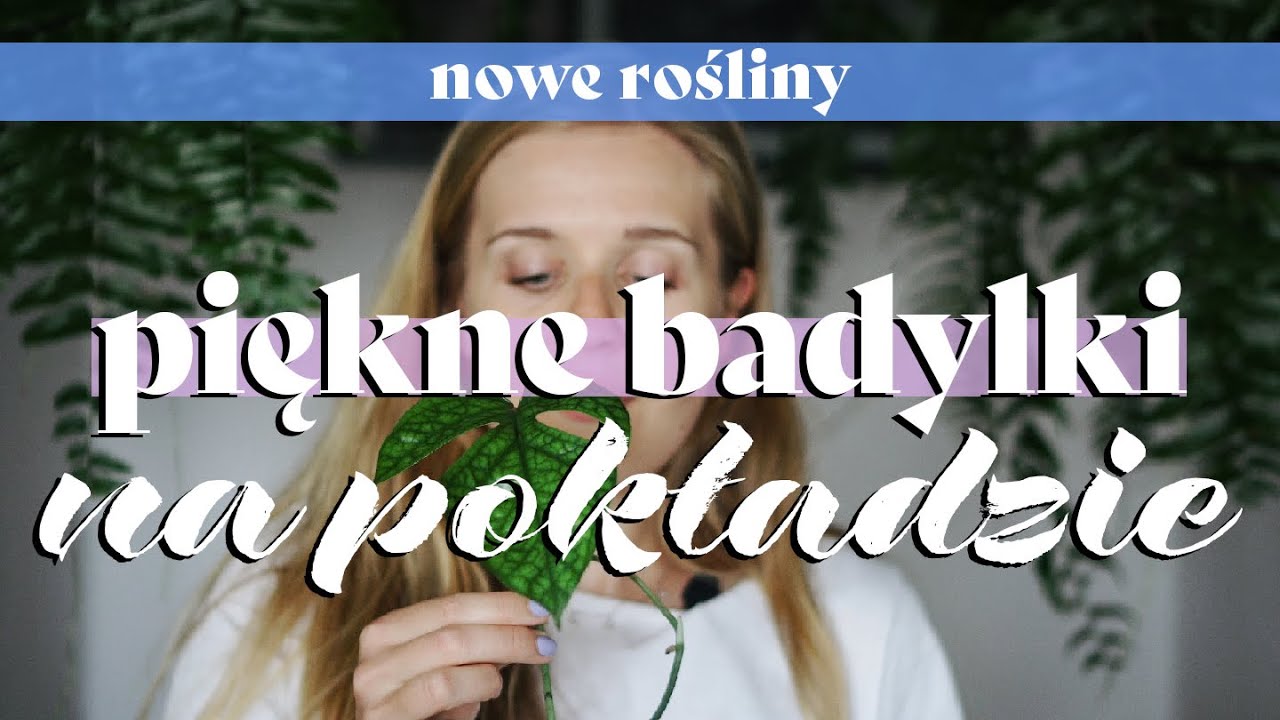 🌟 Nowe rośliny! Unboxing, philodendrony i nie tylko