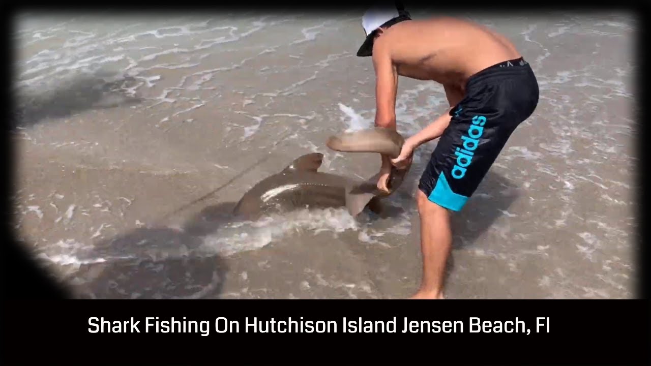 Shark Fishing on Hutchison Island Jensen Beach, Florida