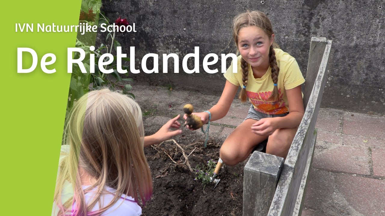IVN Natuurrijke School • Pionierschool De Rietlanden op Marken