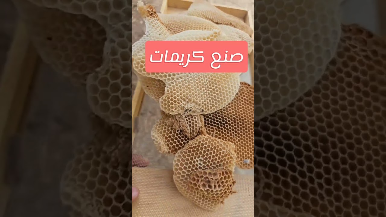 فيديوهات متنوعة عن العسل والنحل @النحال الإماراتي