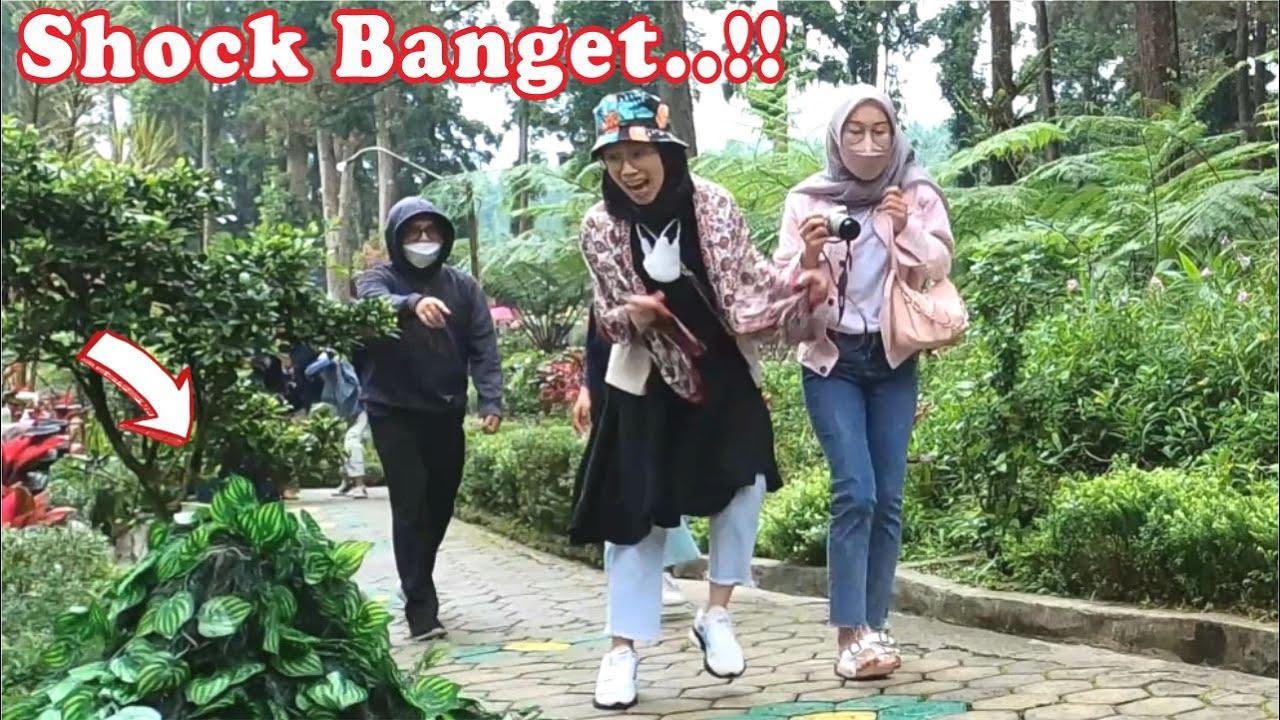 Welcome to HUTAN PINUS LIMPAKUWUS full Surprise..!! Bushman prank